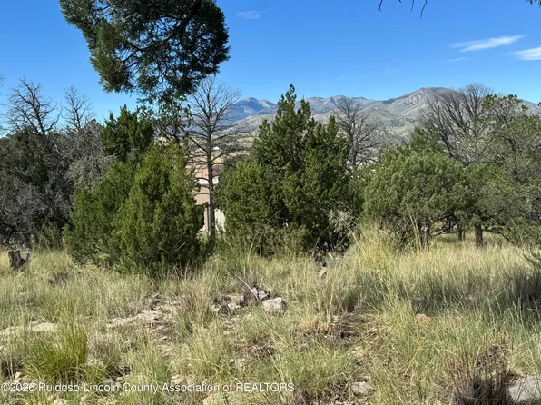 159 Altamira Dr #1-A, Alto, NM 88312