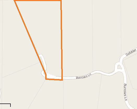 2nd image of Burrows Ln