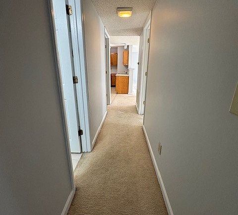 3rd image of 3638 Morris Farm Dr APT 2B