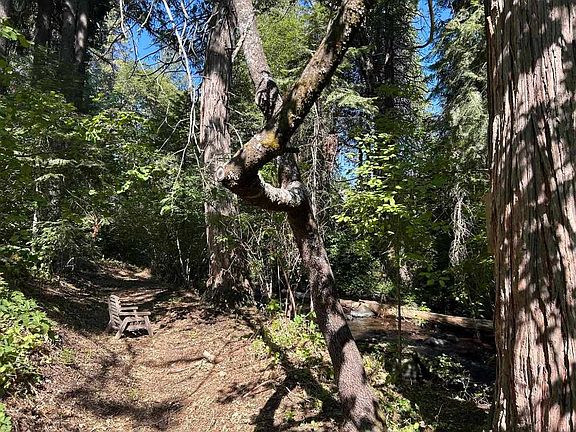 4th image of 1404 S Shasta Ranch Rd