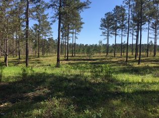 1500 Antioch Church Rd, Climax, GA 39834