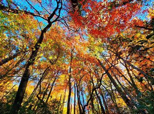 5.47 Ac Sierra Run, Blairsville, GA 30512