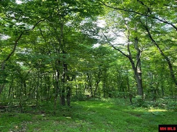 6518 Tomahawk Church Rd, Saint Joe, AR 72675