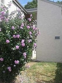 1st image of 920 Quay Ave #920B