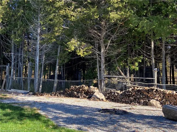 2916 Shannonville Rd, Tyendinaga, ON K0K 2V0