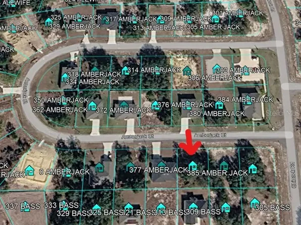 377 Amberjack Ct Lot 8, Kissimmee, FL 34759