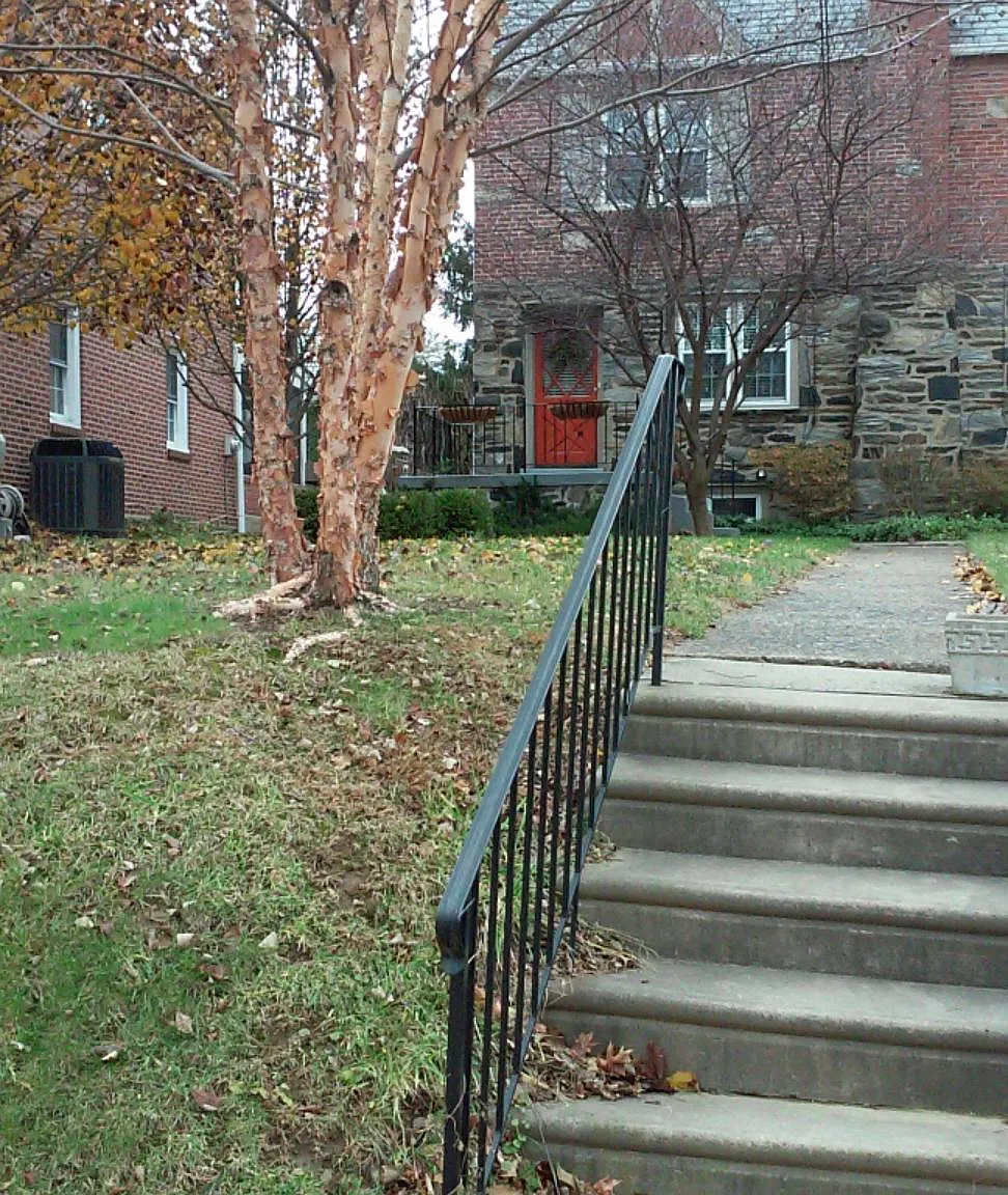 3 bed, 1800 sqft, $2,990 — Photo 3