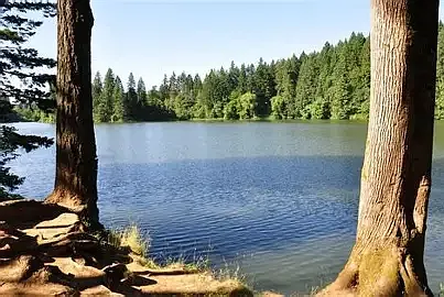 Nearby Lacamas Lake