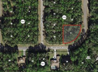 9790 N Caravel Ter, Citrus Springs, FL 34434