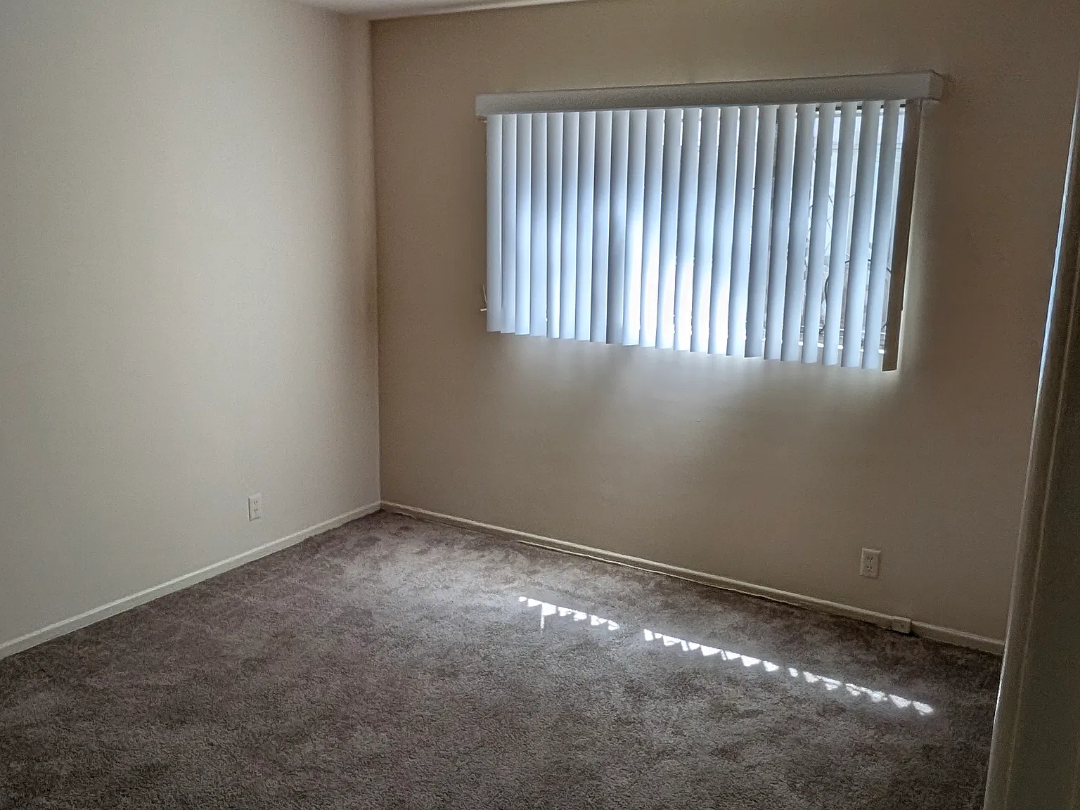 1 bed, 700 sqft, $1,900 — Photo 4
