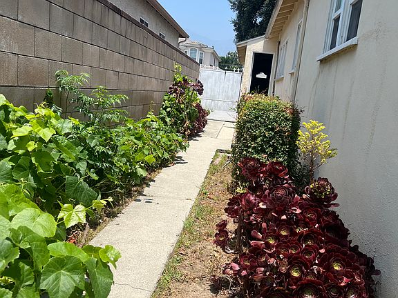 4th image of 100 W Naomi Ave #100