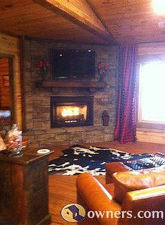 Den with Fireplace view