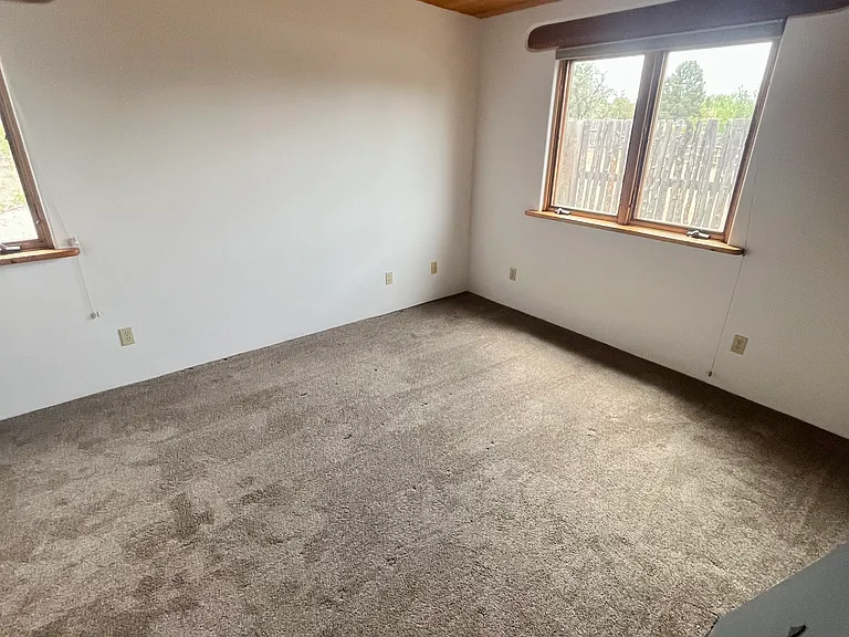 The second carpeted bedroom with a lot of natural light with large closet.