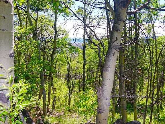 3rd image of LOT 36 Clear Creek Trl