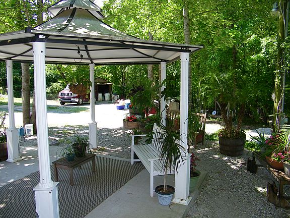 gazebo palm trees & flowers