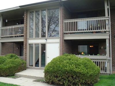803 Brook Dr APT 1, Streamwood, IL, 60107