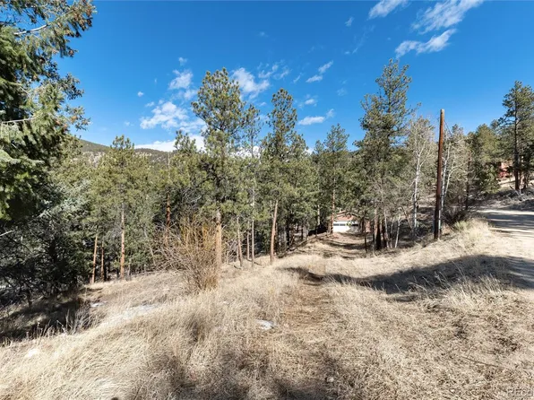 Crest Circle, Bailey, CO 80421