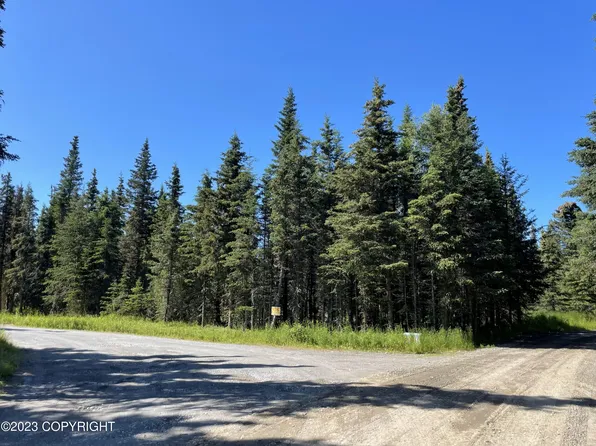 29135 Alvin Ness St, Kasilof, AK 99610