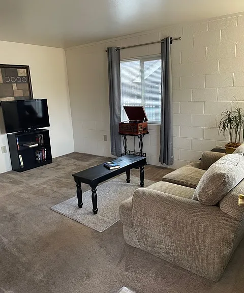 New Colony Apartments — Photo 4