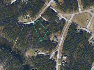 61 Willow Cove Ln, Arapahoe, NC 28510