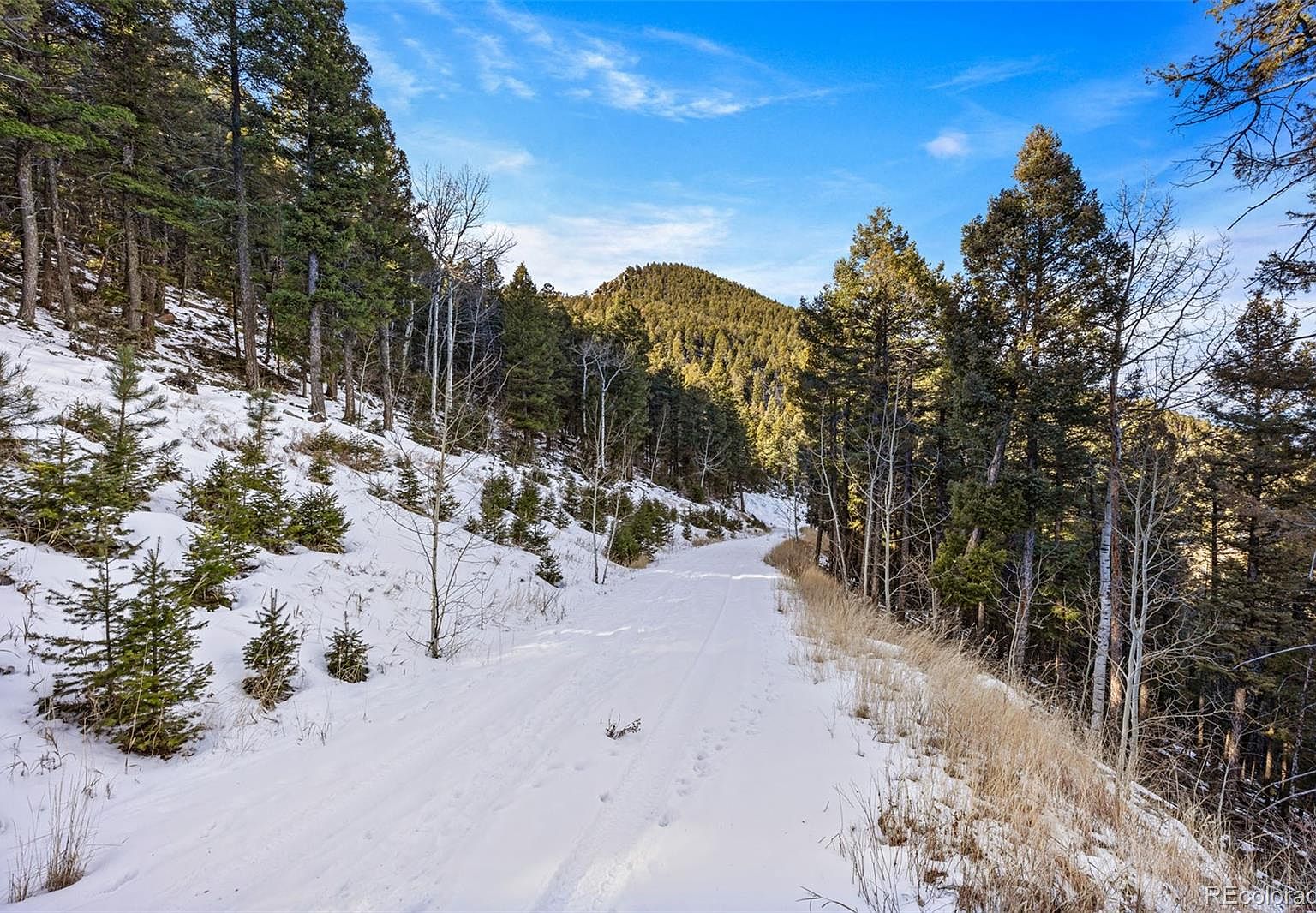 White Cloud Rd, Conifer, CO 80433 MLS 5543034 Zillow