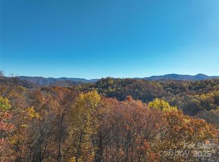 890 Panther Branch Rd, Hot Springs, NC 28743