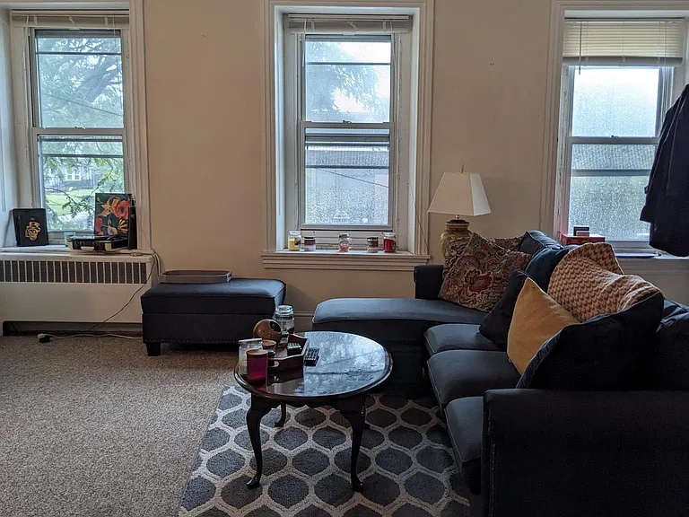 living room plenty of windows