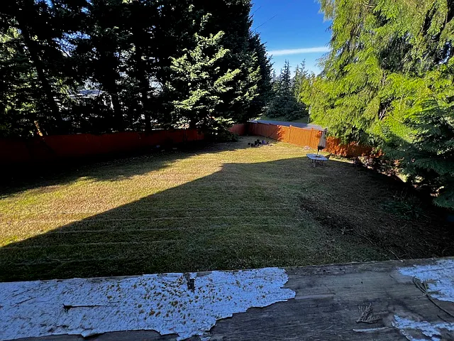 Backyard View 1