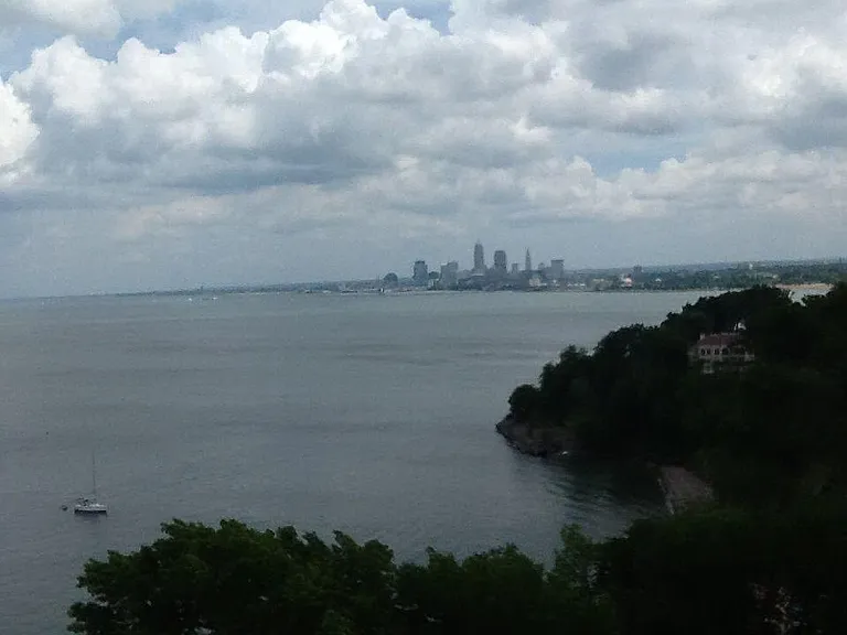 Rooftop View