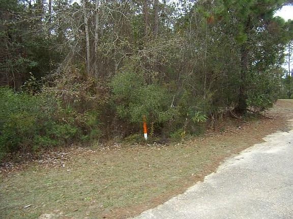 2nd image of Shamrock Dr