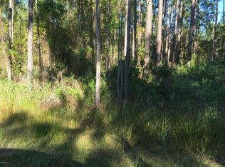 112 Mosswood St, Georgetown, FL 32139