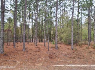 0 Over Lyon Rd, Kelly, NC 28448