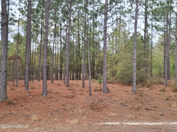 0 Over Lyon Road, Kelly, NC 28448