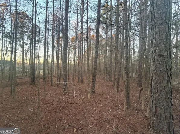 692 Hillcrest Rd, Bowdon, GA 30108