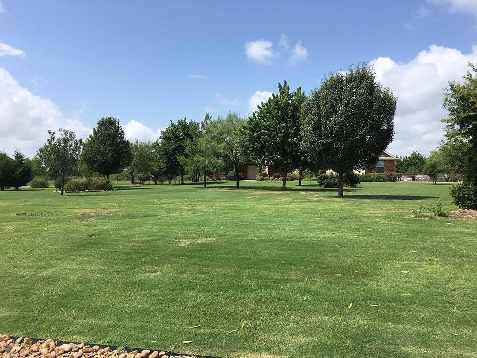 Front yard