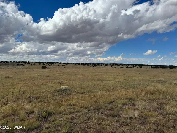 317 Maple Ln, Concho, AZ 85924