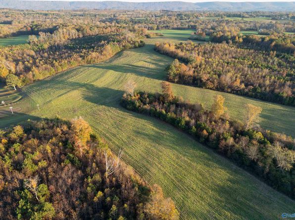 County Road 143, Valley Head, AL 35989