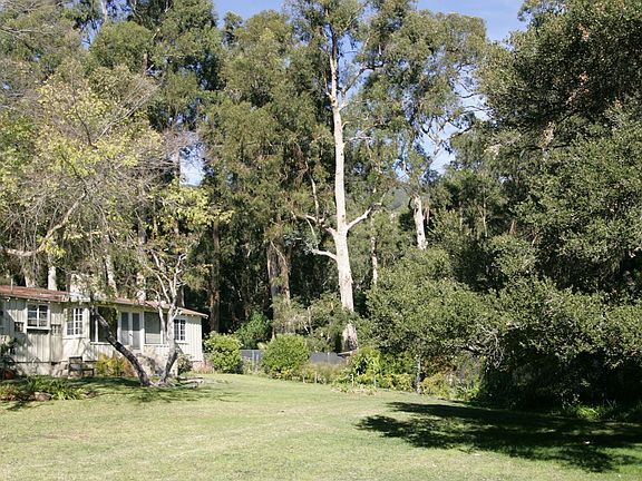 Back lawn towards main house