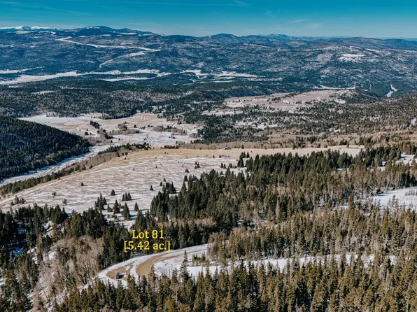 Lot 81 El Camino Real, Angel Fire, NM 87710