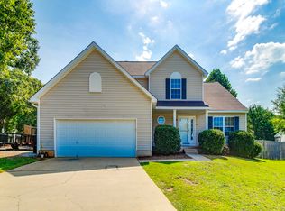 316 Turkey Beard Ct, Chapin, SC 29036