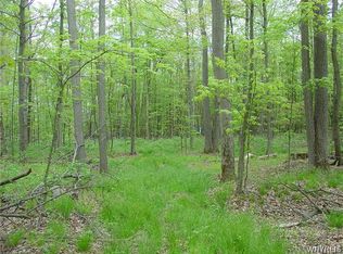 0 King Rd, Clymer, NY 14724