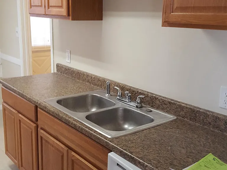 Kitchen sink with garbage disposer and dishwasher