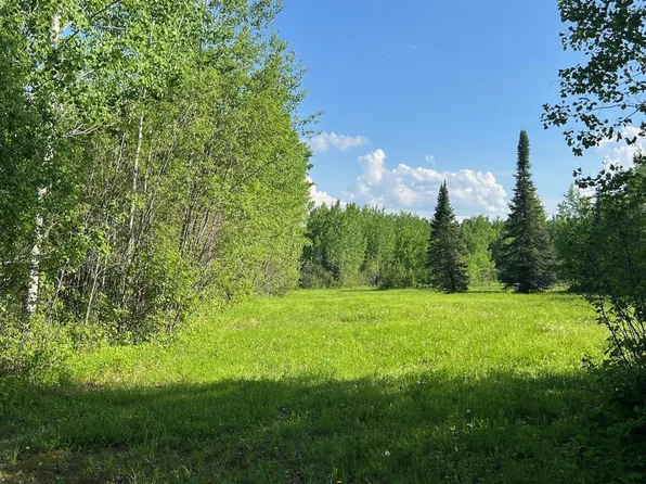 Tbd Sethers Rd, Orr, MN 55771