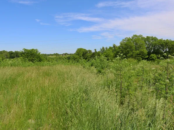 Menefee Rd, Crittenden, KY 41030