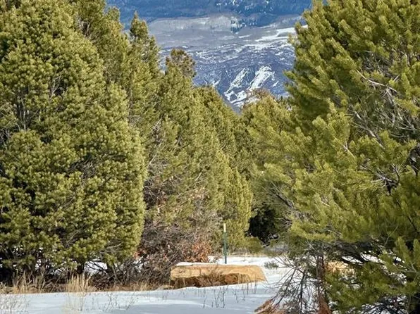 TBD (Lot 533) N Badger Trail, Ridgway, CO 81432