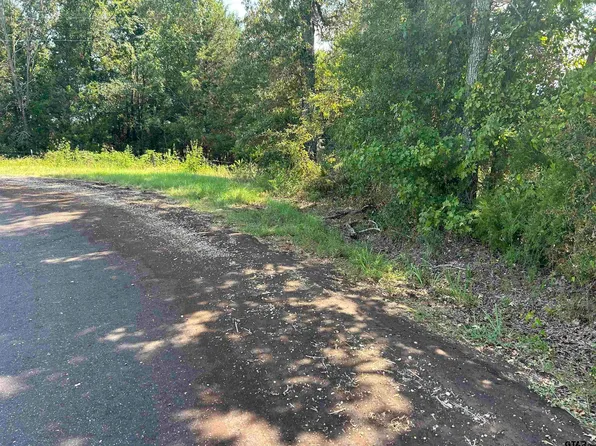 County Road 376 E, Henderson, TX 75654