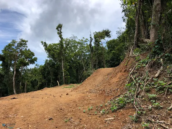 18 Carmen Lote, Guayama, PR 00784