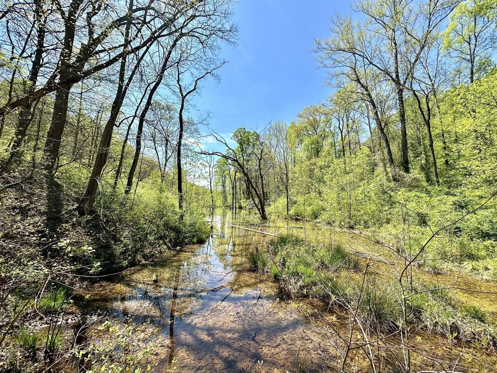 Real estate listing image