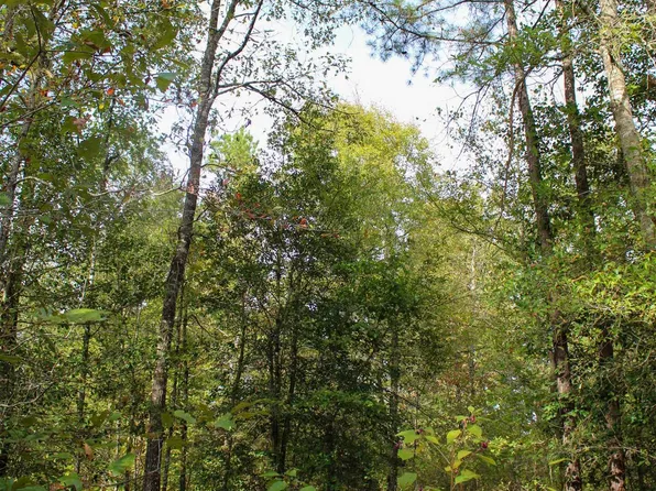 Polk #151, Hatfield, AR 71945