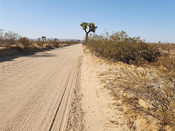 4th image of 123 Wilson Ranch Rd